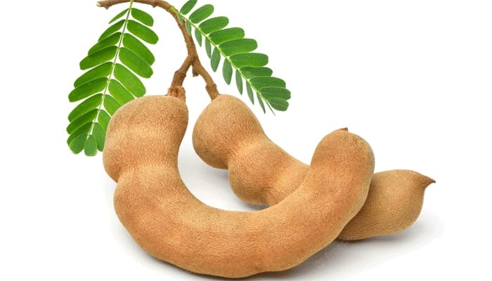 অনেক উপকারী ফল তেতুল