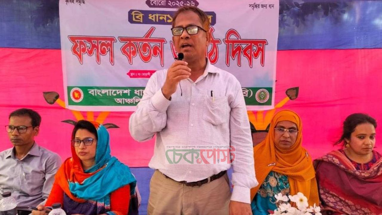 ব্রি ধান-১০৮ এ রেকর্ড ফলন! কৃষিতে নতুন চমক গোপালগঞ্জে