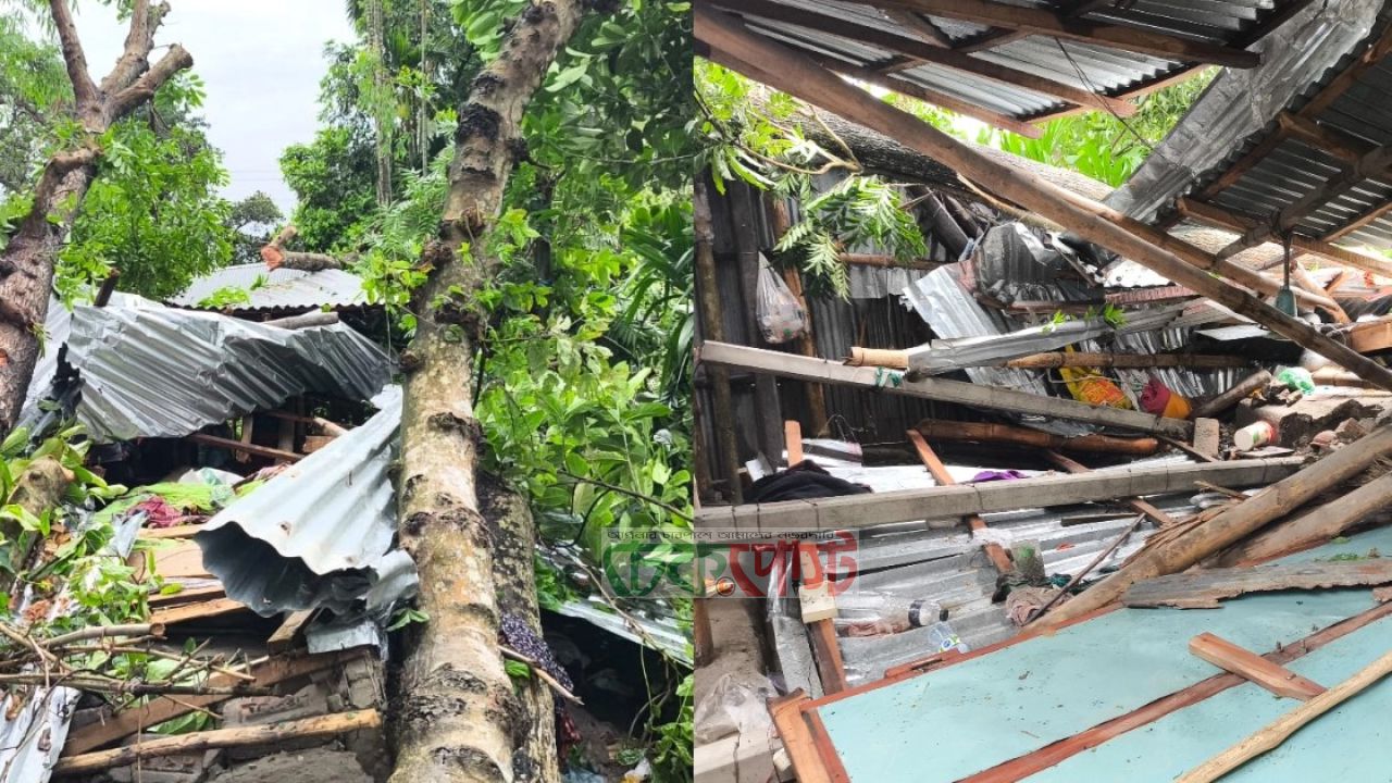 ঝড়ের রাতে মৃত্যু মিছিল: মা-দুই মেয়ে সহ নিহত ৬, দেশজুড়ে শোক