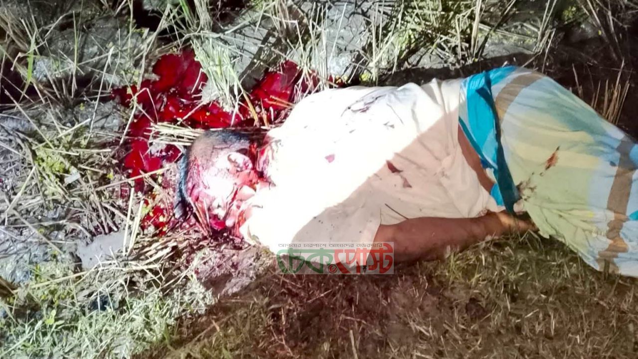 ক্ষেত দেখতে গিয়ে আর ফেরা হলো না: ত্রিশালে কৃষককে কুপিয়ে হত্যা