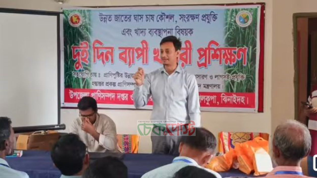 ঝিনাইদহে খামারি প্রশিক্ষণ কর্মসূচি: দক্ষতা বাড়াতে বিশেষ উদ্যোগ