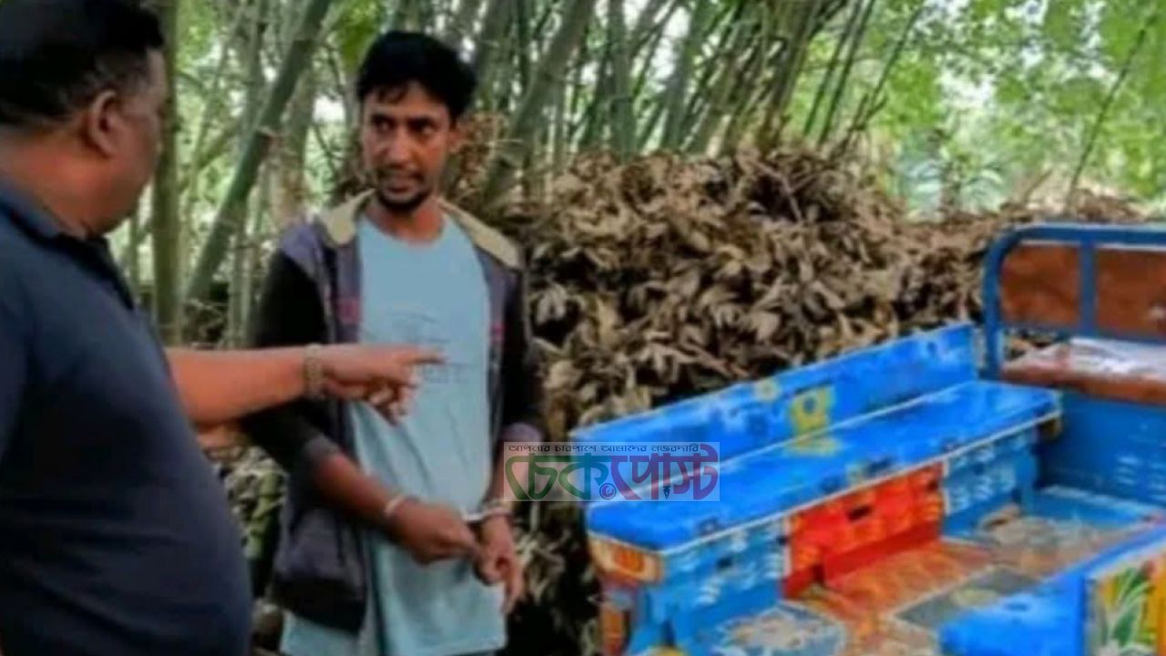 সিরাজগঞ্জে অটোরিকশা চালক নাঈম হত্যা: গ্রেপ্তার ১, উদ্ধার যানবাহন