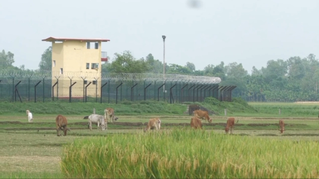 সীমান্ত থেকে দুই কিশোরকে ধরে নিয়ে গেছে বিএসএফ