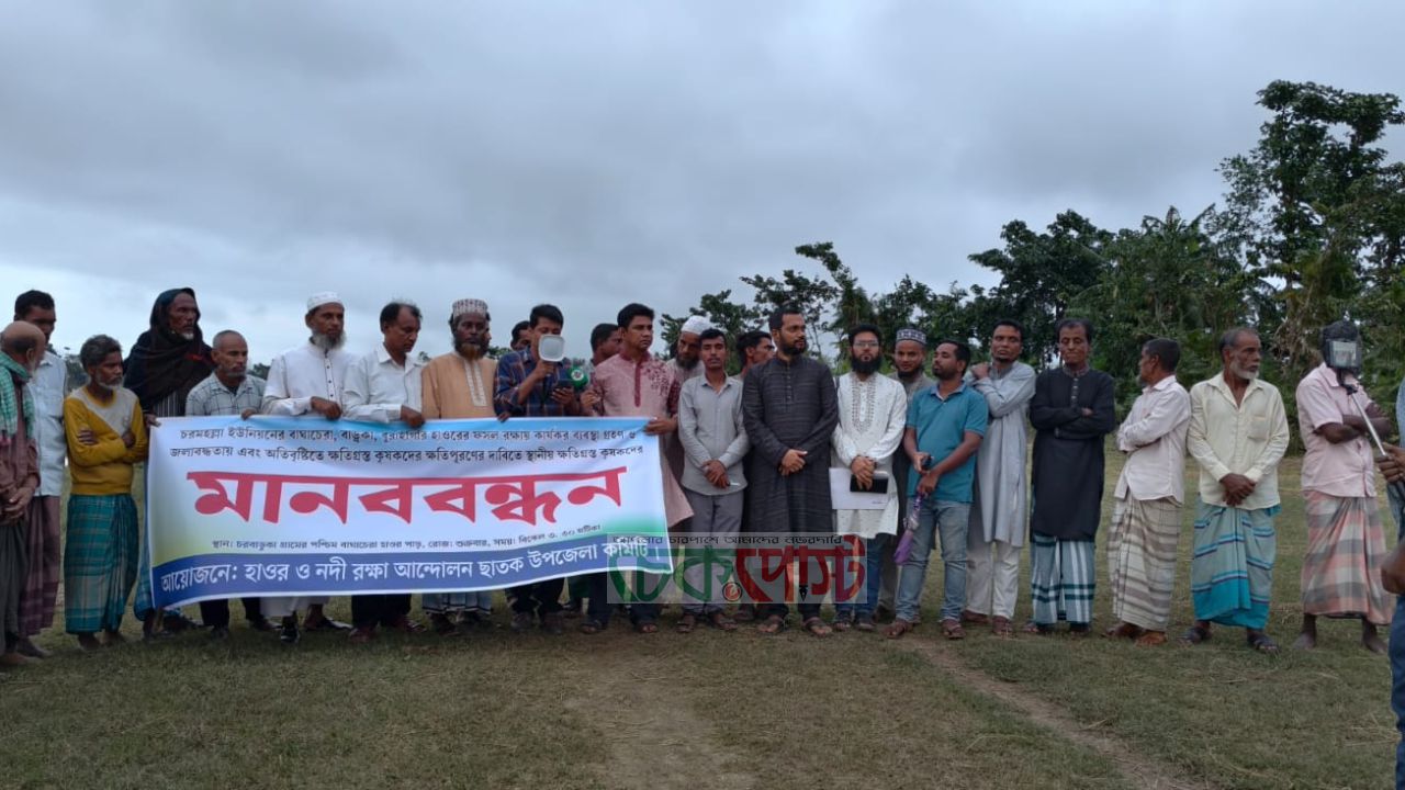 ছাতকে হাওরাঞ্চলে ফসলহানি | ক্ষতিপূরণের দাবিতে কৃষকদের মানববন্ধন