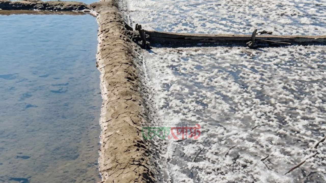 বৃষ্টি-ঝড়ে লবণচাষে ধস, ক্ষতিতে নিঃস্ব উপকূলের কৃষক