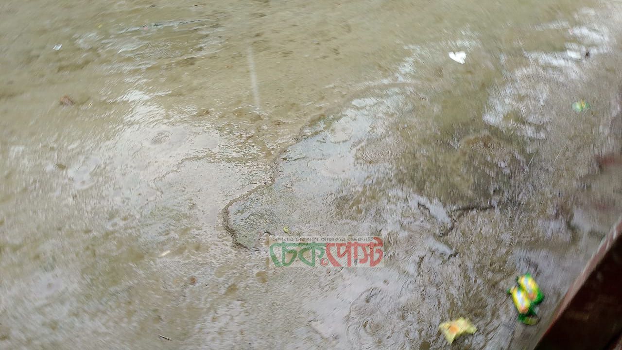 টানা বৃষ্টি ও অস্থির আবহাওয়ায় বিপাকে ভুরুঙ্গামারীর কৃষক