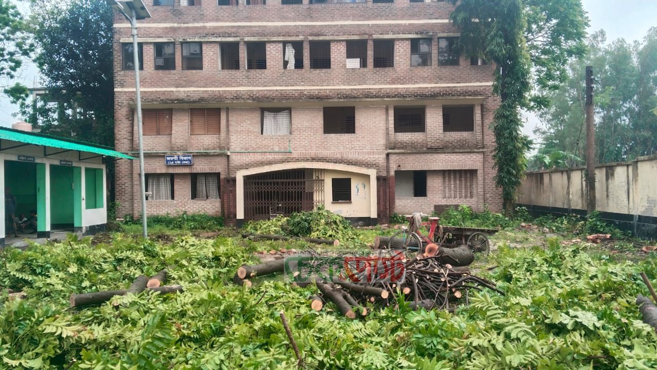 সৈয়দপুরে সিলগালা হাসপাতালের গাছ কেটে ফেলার অভিযোগে তোলপাড়