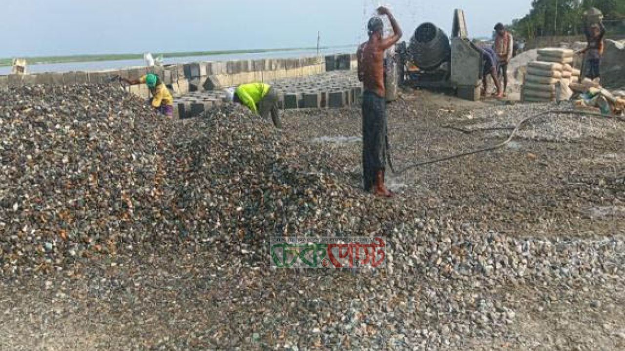সাঘাটায় যমুনা তীর রক্ষা প্রকল্পে অনিয়ম