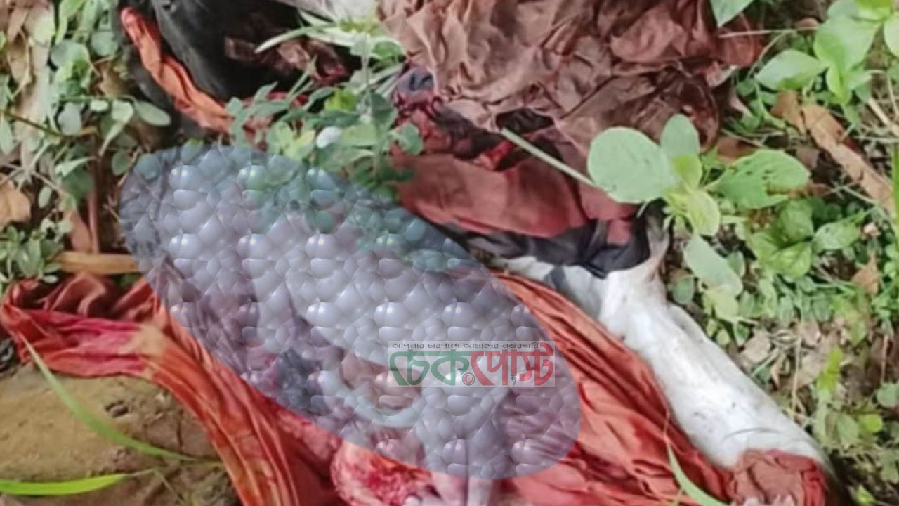 সিরাজগঞ্জে নবজাতক ফেলে যাওয়ার ঘটনায় এলাকায় উত্তেজনা