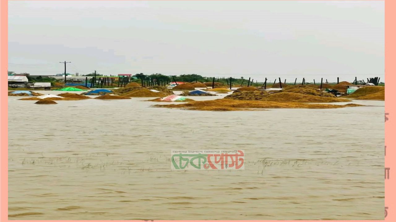 লাখাইয়ে বন্যায় ২২শ হেক্টর জমির ধান তলিয়ে ক্ষতি ১১ হাজার মেট্রিক টন