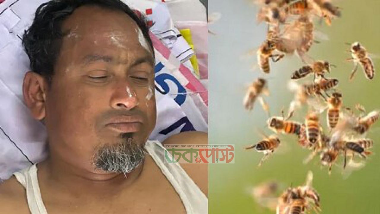 মৌমাছির হামলায় উলিপুরে জামায়াতের ৩ নেতা আহত