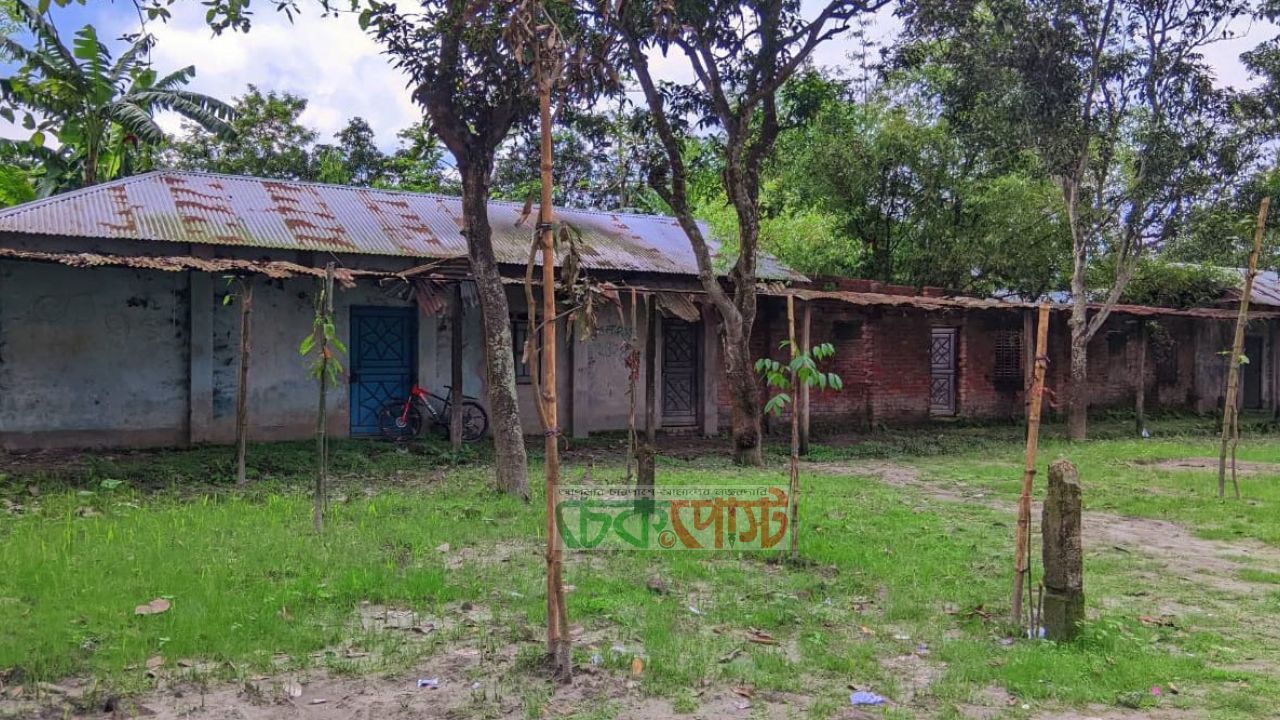 গংগাচড়ায় স্কুল মাঠে গাছ লাগিয়ে খেলাধুলা বন্ধে বিপদগামী শিক্ষার্থী