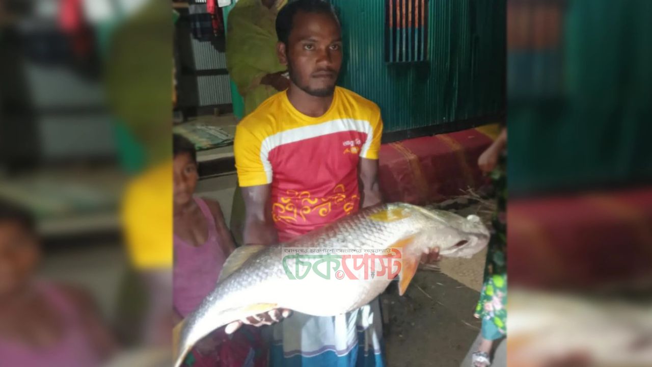 হাঁটতে গিয়ে ২০ কেজির কোরাল মাছ পেলেন কৃষক, হাতিয়ায় ভাইরাল ঘটনা