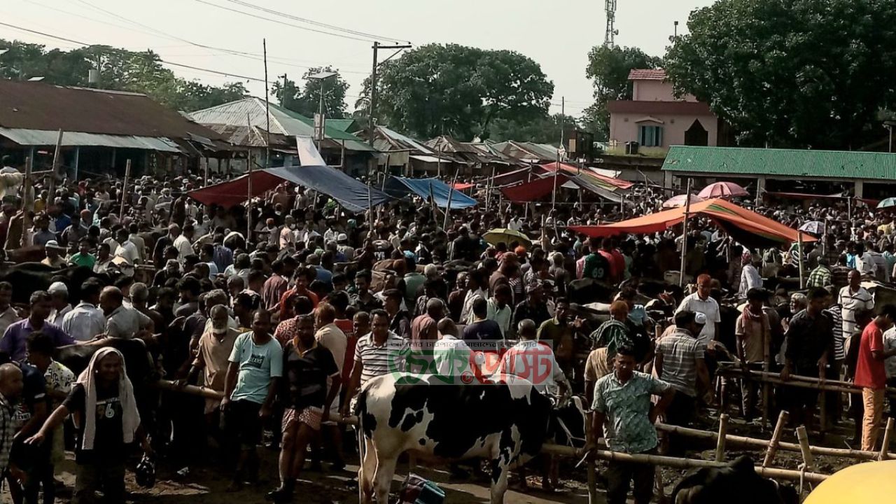 বেতগাড়ী গরুর হাটে প্রকাশ্য চাঁদাবাজির অভিযোগ, নীরব প্রশাসন নিয়ে প্রশ্ন