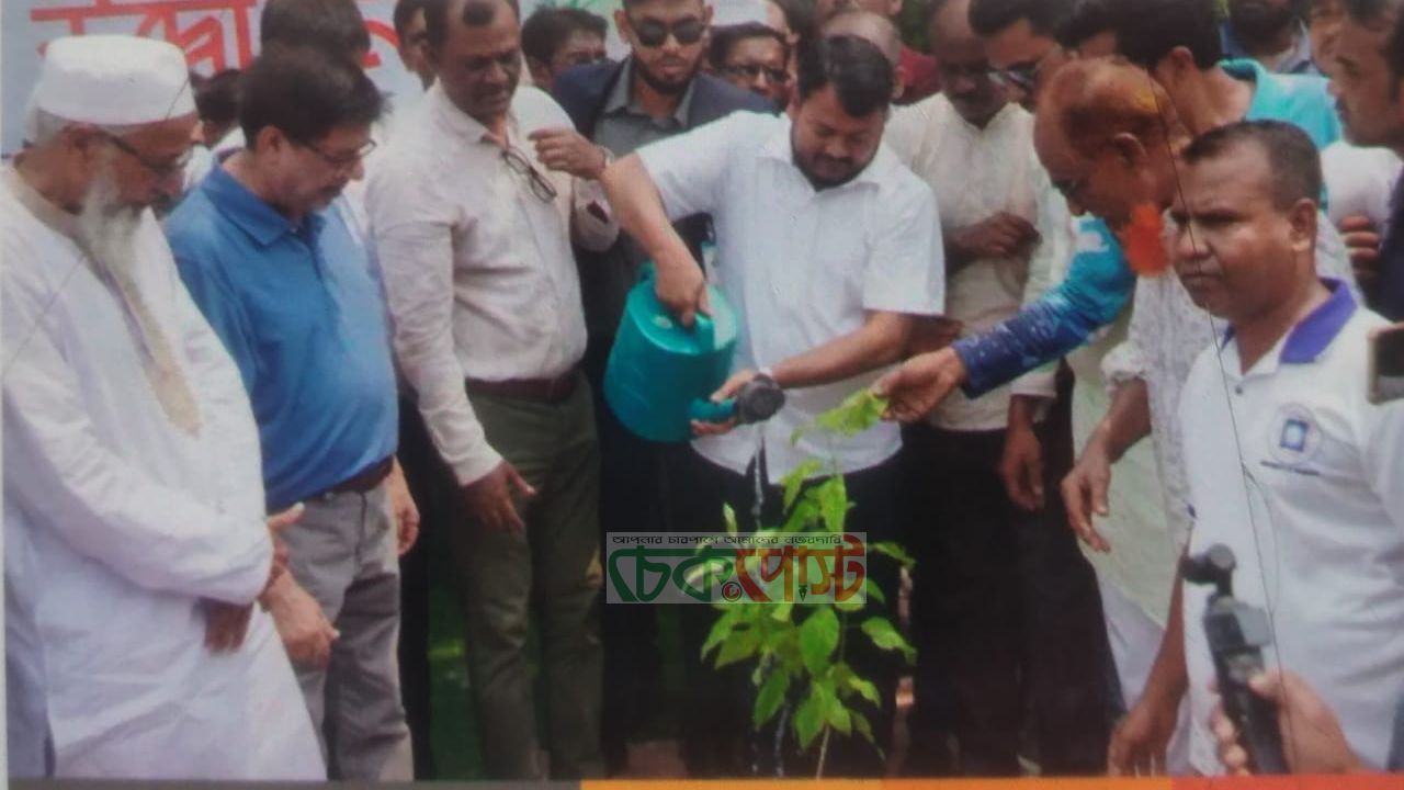 রাজশাহীতে বৃক্ষরোপণ কর্মসূচির উদ্বোধন, লাগানো হবে আড়াই লাখ গাছ