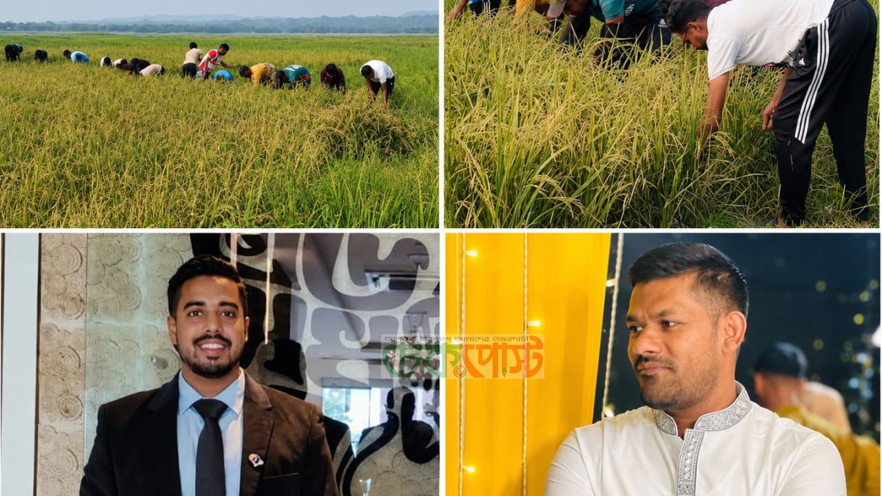 নানিয়ারচরে দরিদ্র কৃষকের ধান কেটে দিল ছাত্রদল নেতাকর্মীরা