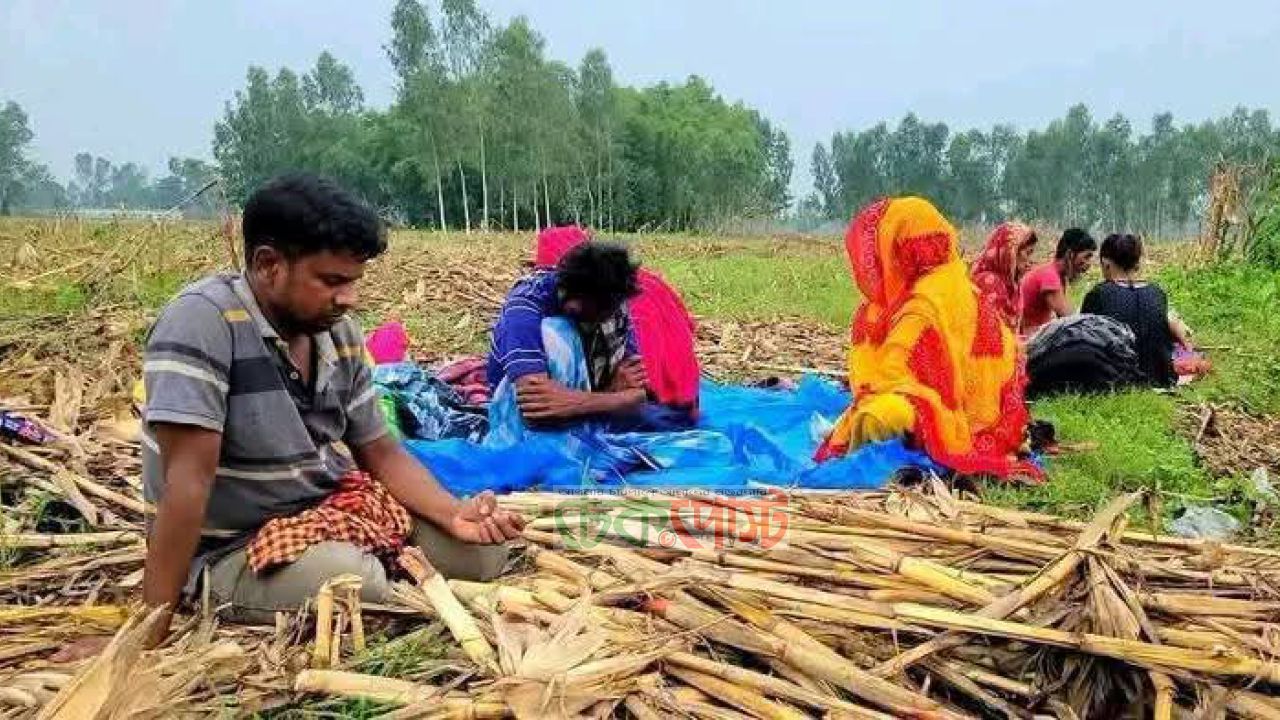 হরিপুর সীমান্তে ৭২ ঘণ্টার মানবিক সংকটের অবসান, আটকে ১১