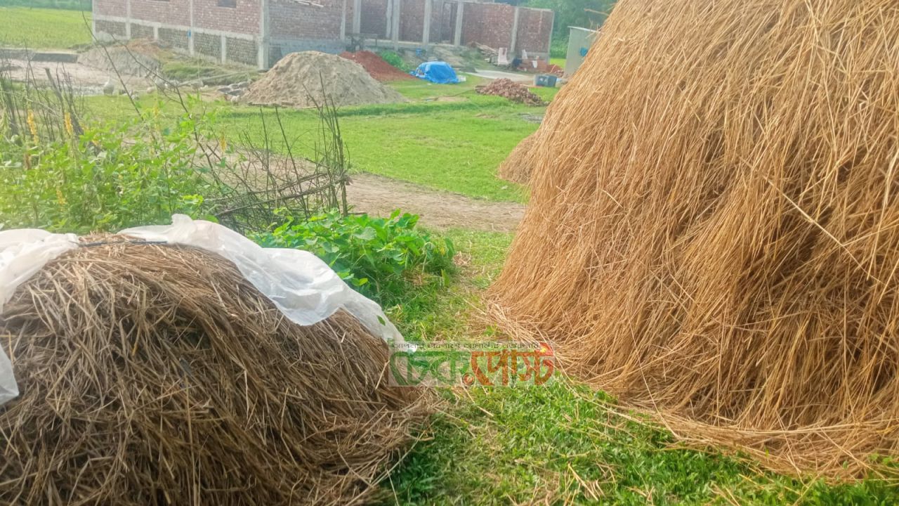 নাসিরনগরে ৬ পরিবারের চলাচলের পথে বাধা, প্রশাসনের হস্তক্ষেপ দাবি