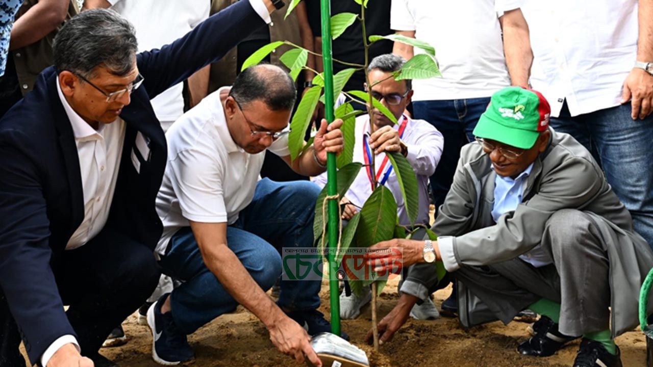 ২৫ কোটি বৃক্ষরোপণ কর্মসূচির উদ্বোধন করলেন প্রধানমন্ত্রী তারেক রহমান