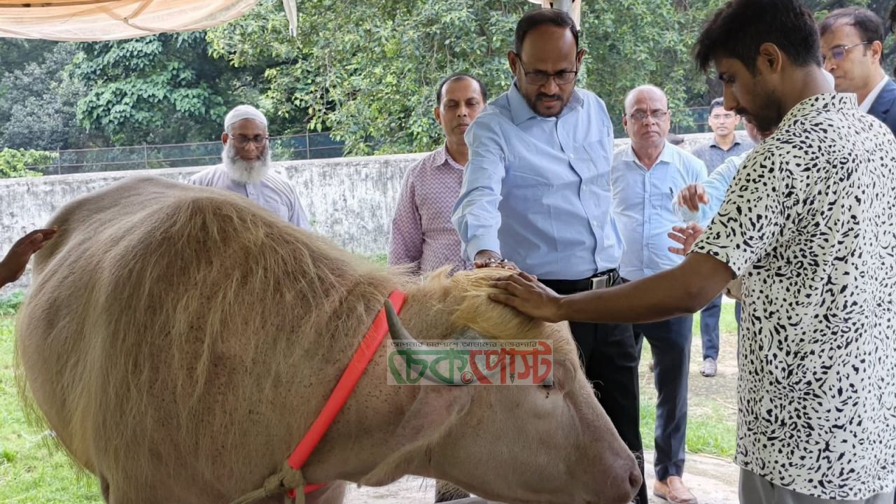 মিরপুর চিড়িয়াখানা পরিদর্শনে প্রতিমন্ত্রী টুকু, নজর রাখলেন ডোনাল্ড ট্রাম্প মহিষে