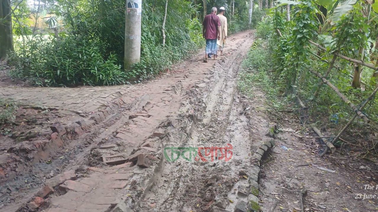 নলছিটিতে কান্ডপাশা-শংকরপাশা সড়ক এখন মৃত্যুফাঁদ, চরম দুর্ভোগে হাজারো মানুষ