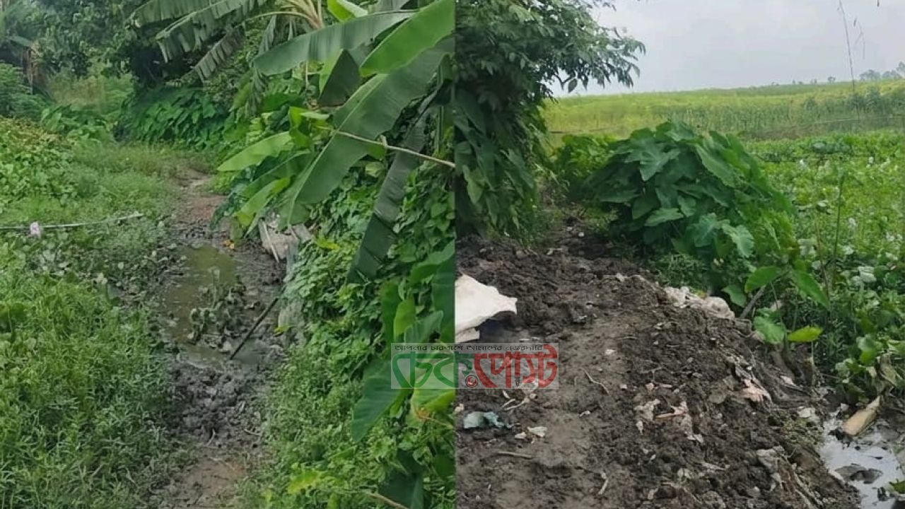 স্বাধীনতার ৫ দশকেও রাস্তা নেই, দুর্ভোগে নাসিরনগরের ধরমন্ডলবাসী