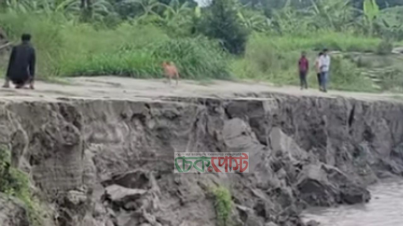 মানিকগঞ্জে ভয়াবহ নদীভাঙন, হুমকিতে ঘরবাড়ি-ফসলি জমি