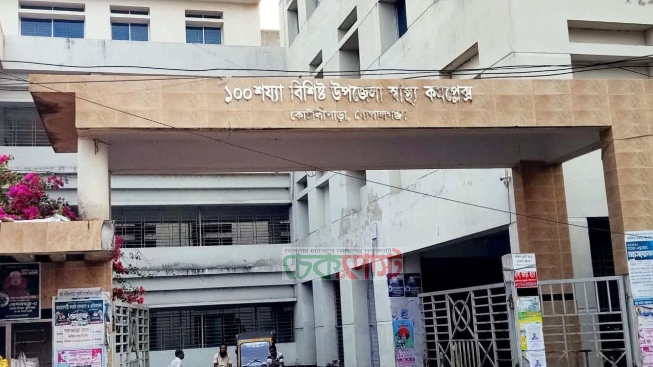 কোটালীপাড়ায় ভিমরুলের আক্রমণে প্রাণ গেল চার বছরের শিশুর
