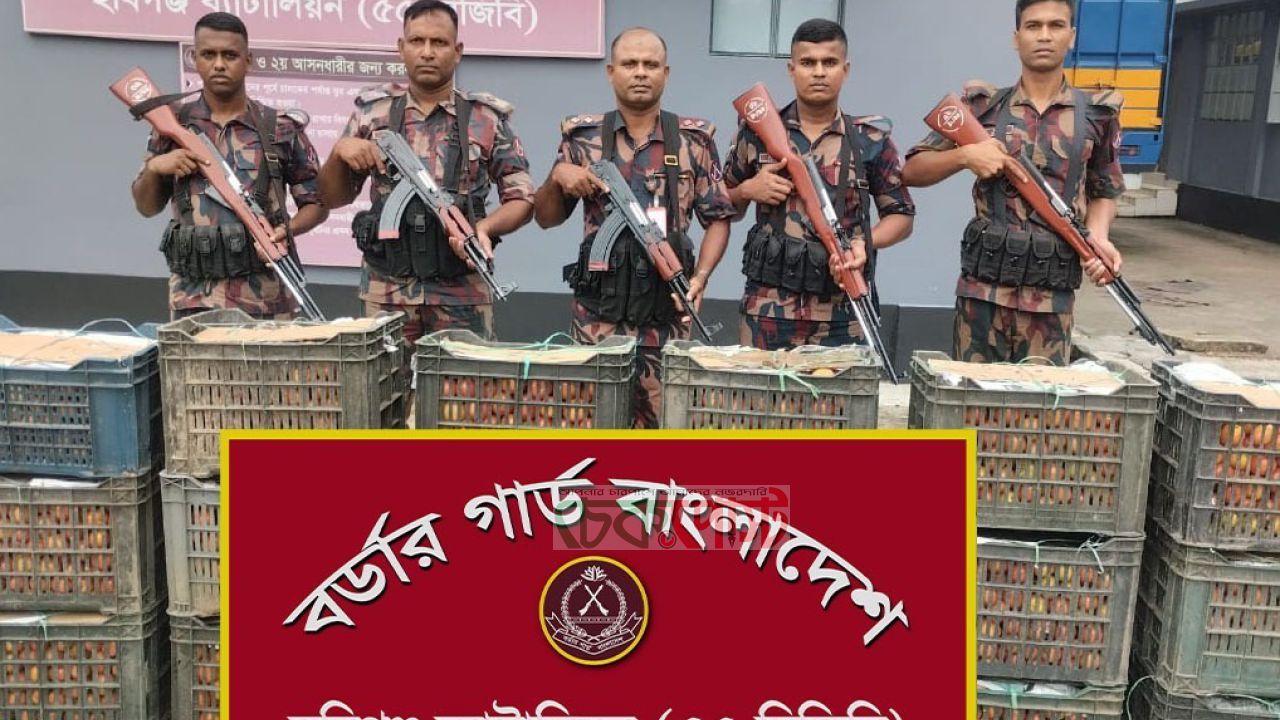 হবিগঞ্জে বিজিবির তিন অভিযানে ১১ লাখ টাকার ভারতীয় টমেটো ও গাঁজা জব্দ