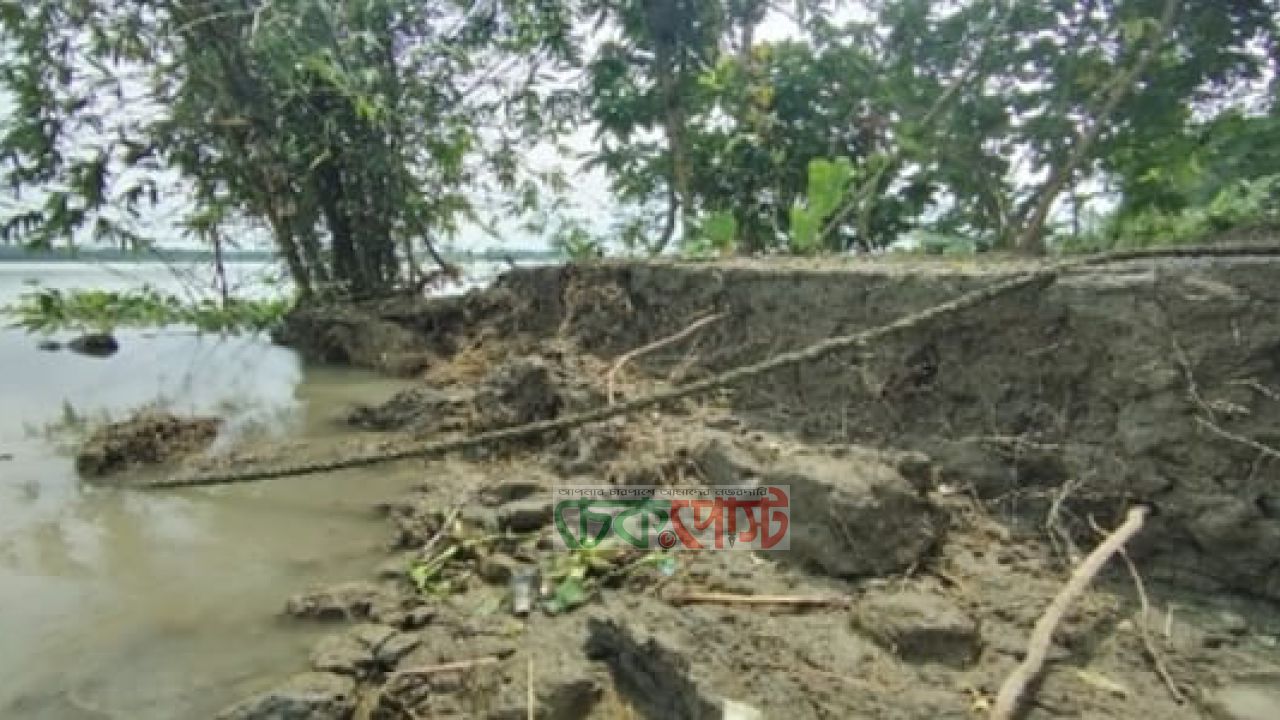 ৫০ বছরের সুগন্ধা নদীভাঙন: নলছিটিতে বিলীন ১০ গ্রামের শতাধিক বসতভিটা