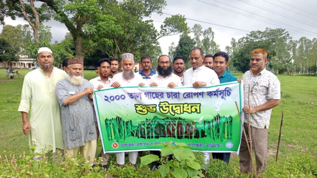 নাগেশ্বরীতে বজ্রপাতের ঝুঁকি কমাতে ২ হাজার তালগাছ রোপণ শুরু