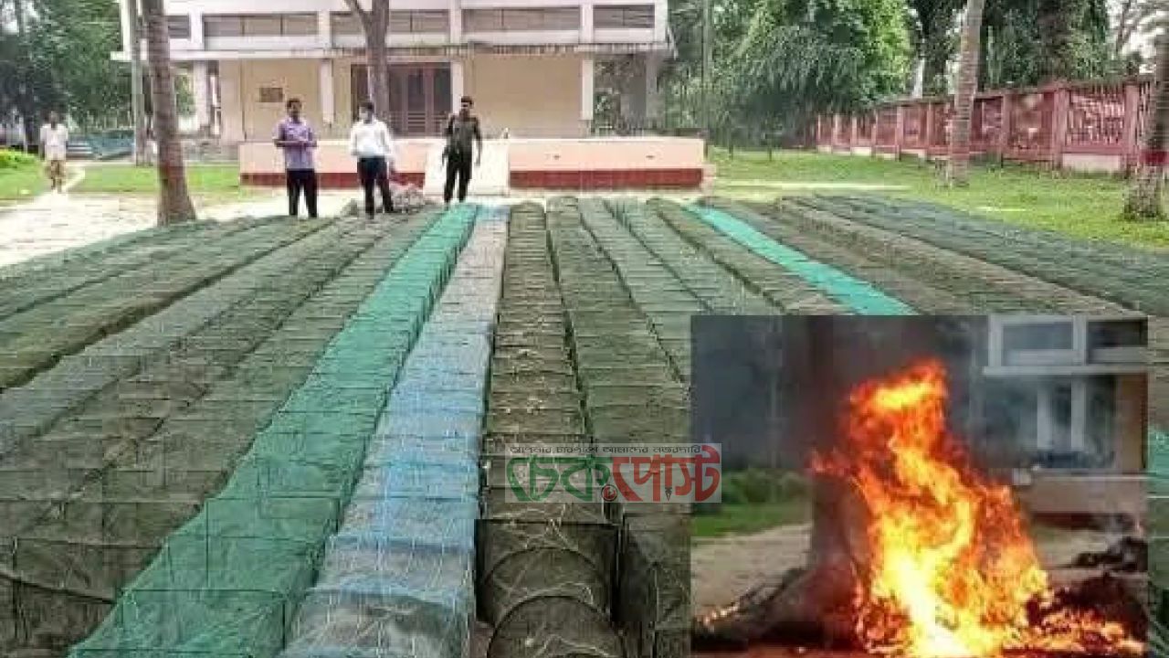 বিরলে লক্ষাধিক টাকার নিষিদ্ধ চায়না দুয়ারী ও কারেন্ট জাল জব্দ, প্রকাশ্যে ধ্বংস