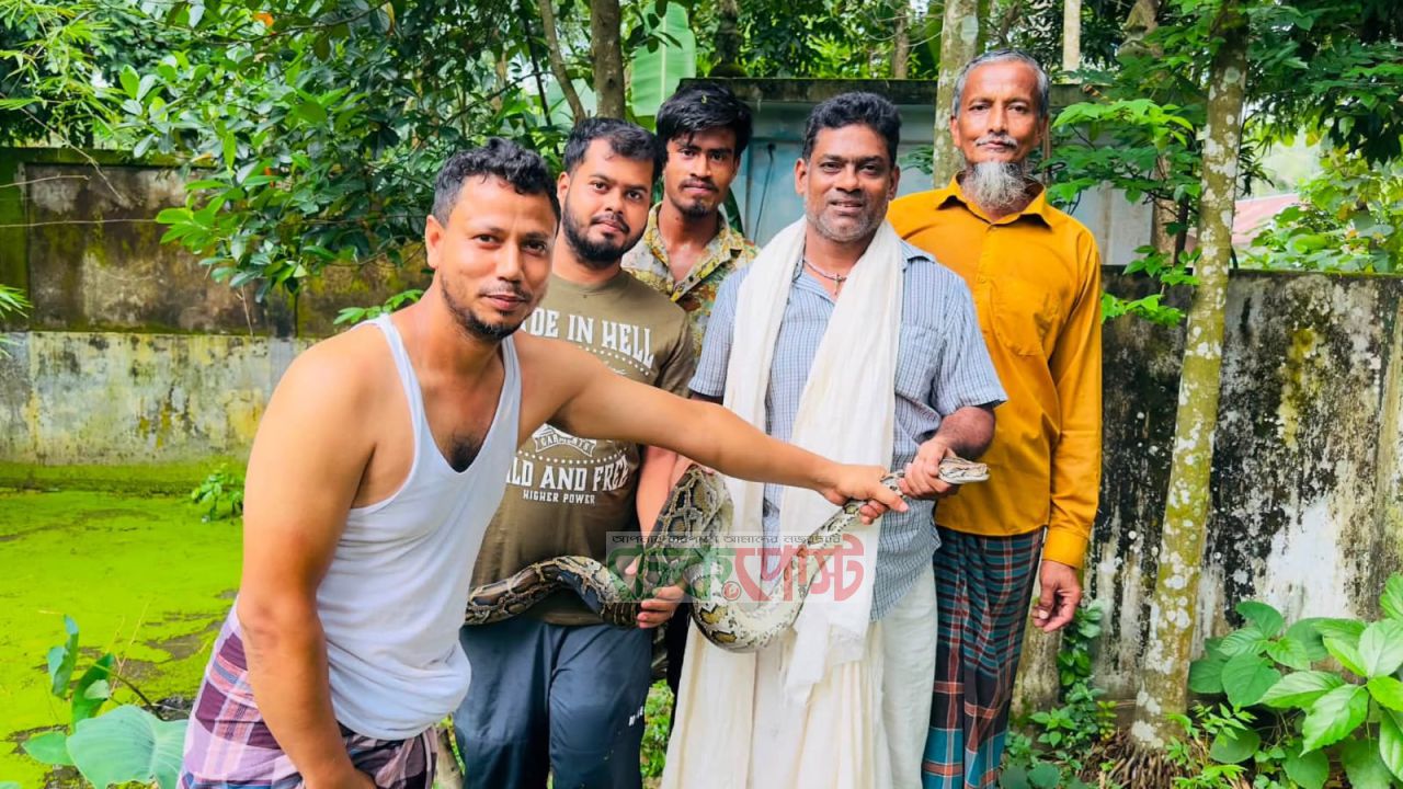 বিশ্ব সাপ দিবসে শ্রীমঙ্গলে অজগর উদ্ধার, বন বিভাগের কাছে হস্তান্তর