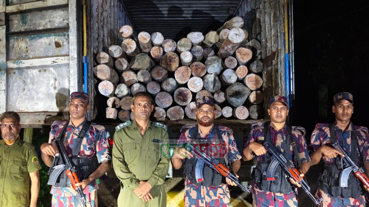 বিজিবির অভিযানে মাধবপুরে ৬০ লাখ টাকার গর্জন কাঠ জব্দ, পালাল চালক