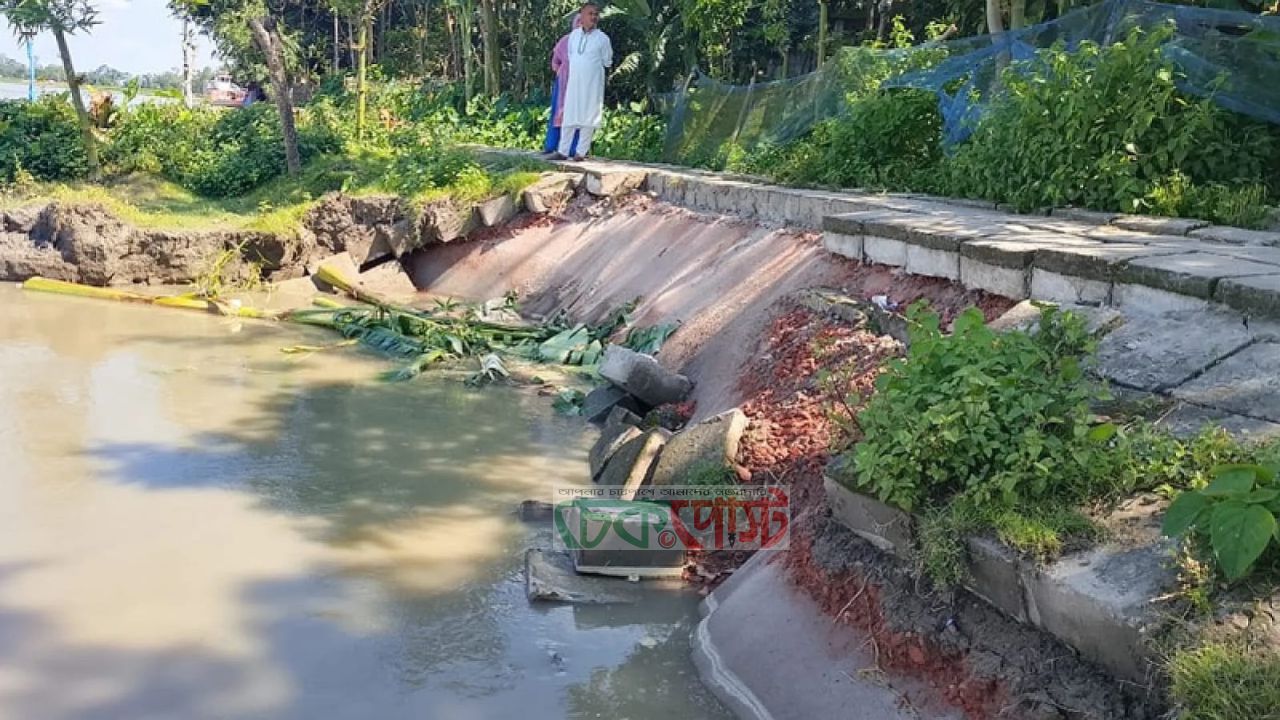 গঙ্গাচড়ায় তিস্তা বাঁধে ধস, আতঙ্কে কয়েকটি গ্রাম