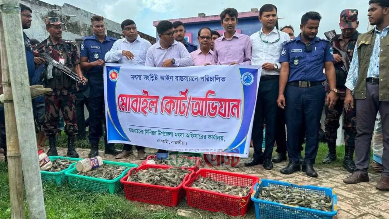 দেবহাটায় পুশকৃত চিংড়ির বিরুদ্ধে অভিযান, ১শ কেজি জব্দ
