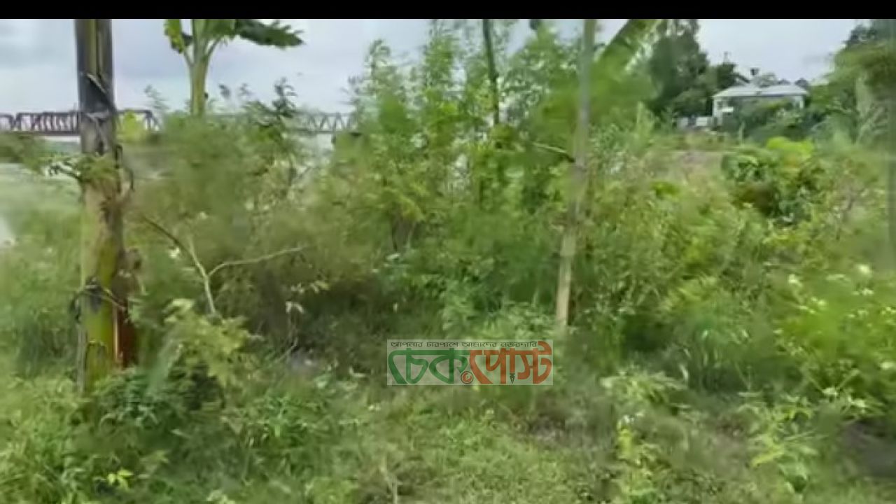 ভূরুঙ্গামারীতে পুলিশের অভিযানে ৪ কেজি গাঁজা গাছসহ উদ্ধার, গ্রেফতার ১