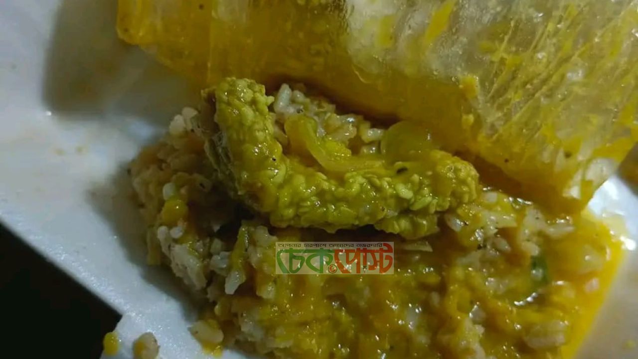 গোবিপ্রবির গণঅভ্যুত্থান দিবসের ফিস্টে ডালে নাড়িভুঁড়ি ও পচা ডিমের অভিযোগ