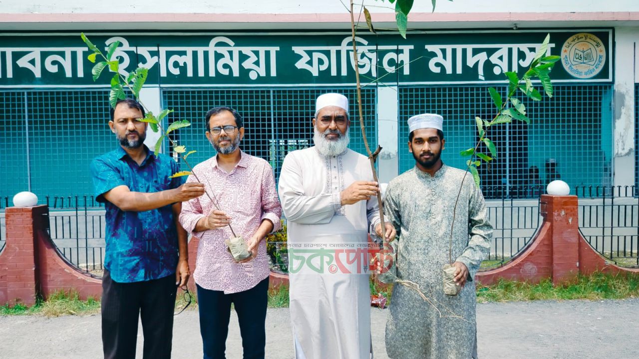 দাখিলে সাফল্যের পর শিক্ষার্থীদের হাতে গাছের চারা, অনন্য দৃষ্টান্ত পাবনা ইসলামিয়া মাদ্রাসার