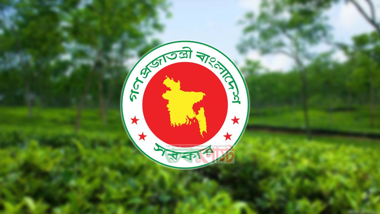 চা শিল্পে নতুন উদ্যোগ, বাণিজ্যমন্ত্রীর নেতৃত্বে ১২ সদস্যের কমিটি