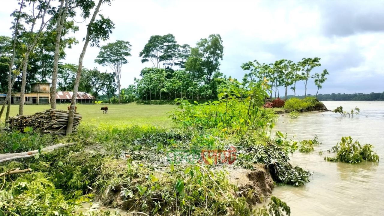 যেকোনো সময় নদীগর্ভে বিলীনের শঙ্কা, আতঙ্কে শিক্ষার্থী-অভিভাবক