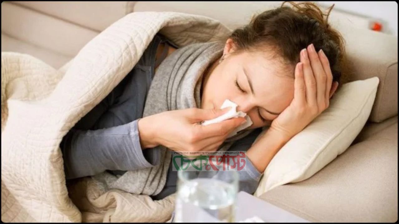 ফ্লু হলে এড়িয়ে চলুন এই ৬ খাবার, বাড়তে পারে দুর্বলতা