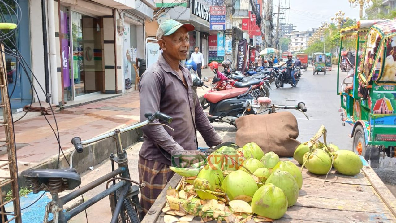 প্রচন্ড গরমে ডাবের পানি শরীর সতেজ রাখে 