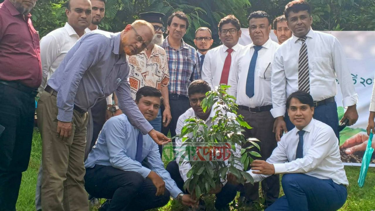 কুবিতে লংকাবাংলা ফাউন্ডেশনের উদ্দ্যোগে ফলজ ও ঔষধি চারা রোপণ