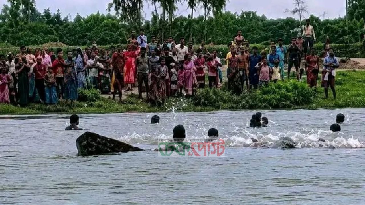 কান্তজীউ যুগল বিগ্রহের নৌযাত্রায় নৌকা ডুবে একজন নিখোঁজ