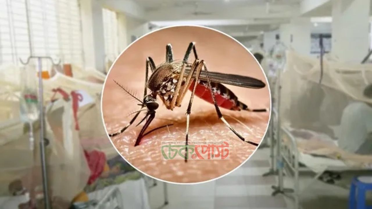 ২৪ ঘণ্টায় ডেঙ্গুতে ৫ মৃত্যু, হাসপাতালে ১,৪৮৪