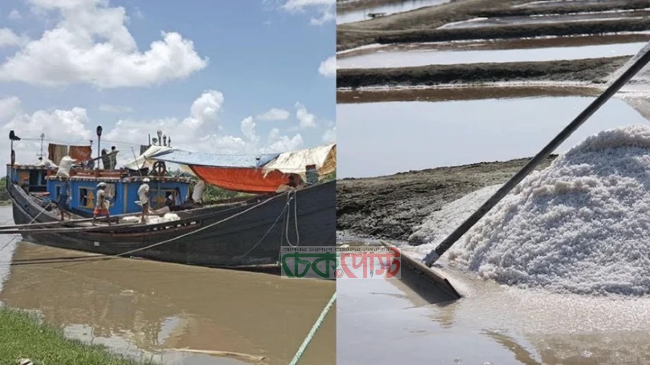 লবণ আমদানিতে বাজারে স্বস্তি টিকে থাকা কঠিন খুলনার মিলের