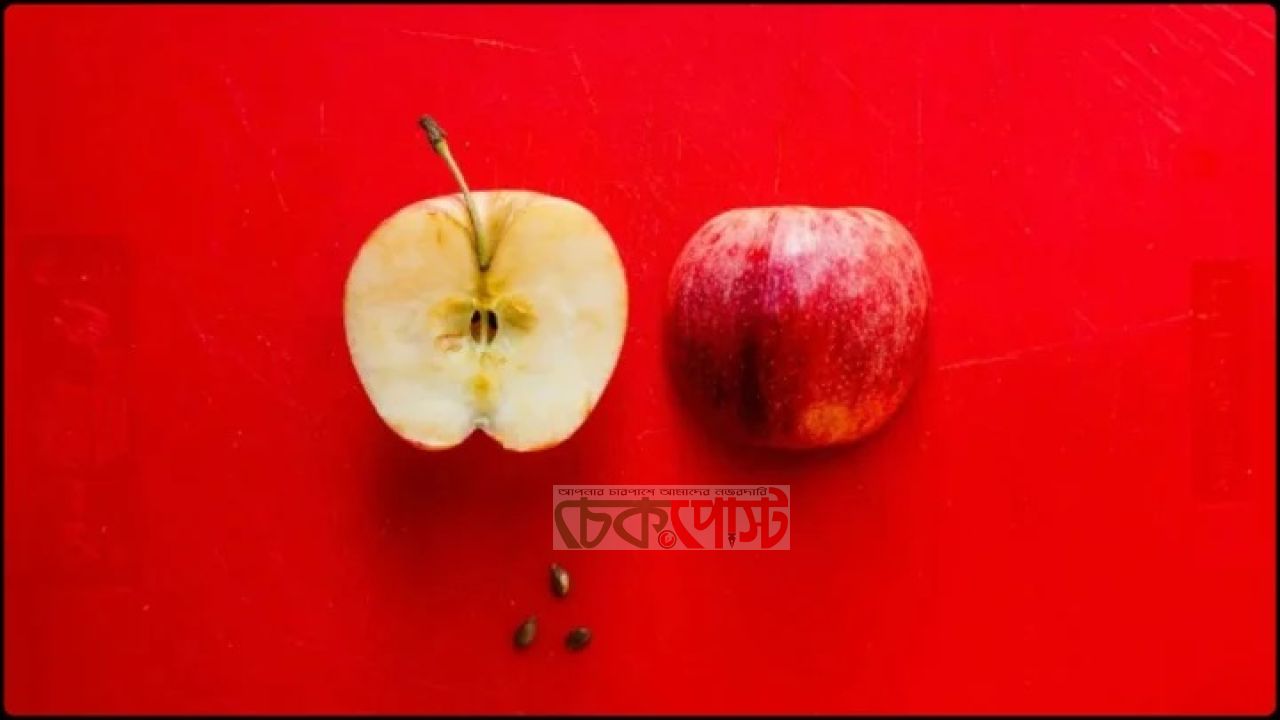 আপেলের বীজ চিবিয়ে খেলে কতটা বিপদ? জানুন ঝুঁকি