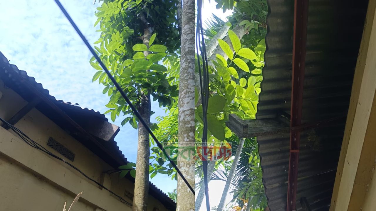 দিরাইয়ের মজলিশপুরে বাড়ছে চুরি, আতঙ্কে বাসিন্দারা