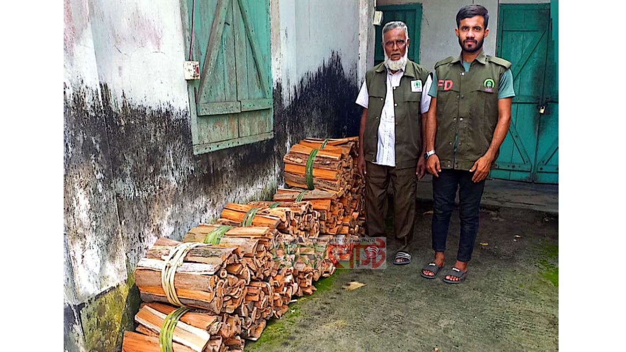 চুনারুঘাটে সেগুন ও আকাশমণি গাছের অবৈধ জ্বালানি কাঠ জব্দ করেছে: বন বিভাগ
